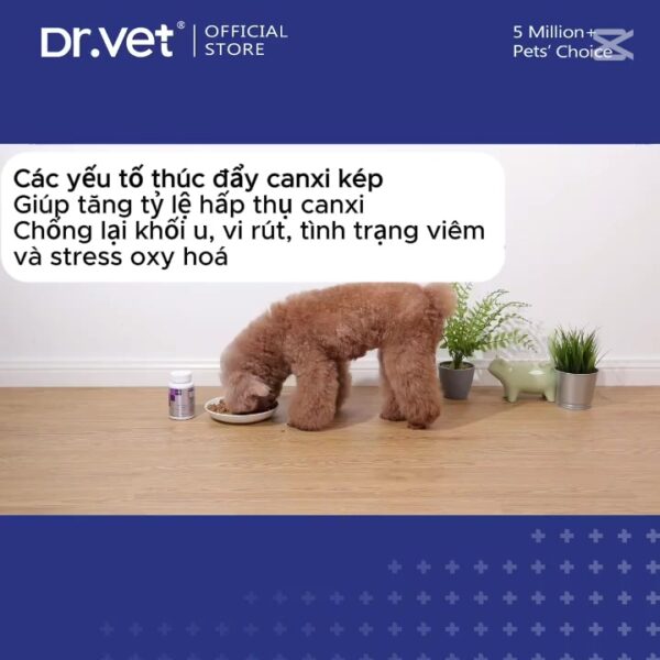Viên Canxi cho chó mèo chắc răng khỏe xương DrVET - Hình ảnh 6
