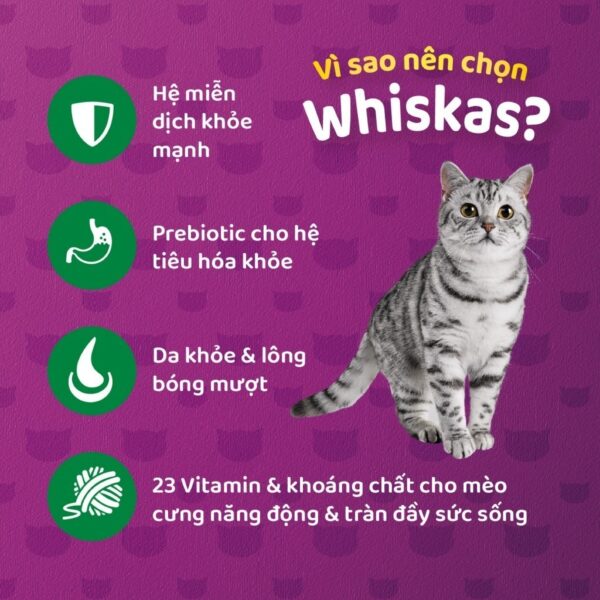 Thức ăn dạng hạt khô cho mèo lớn WHISKAS - 1.2 kg - Hình ảnh 4