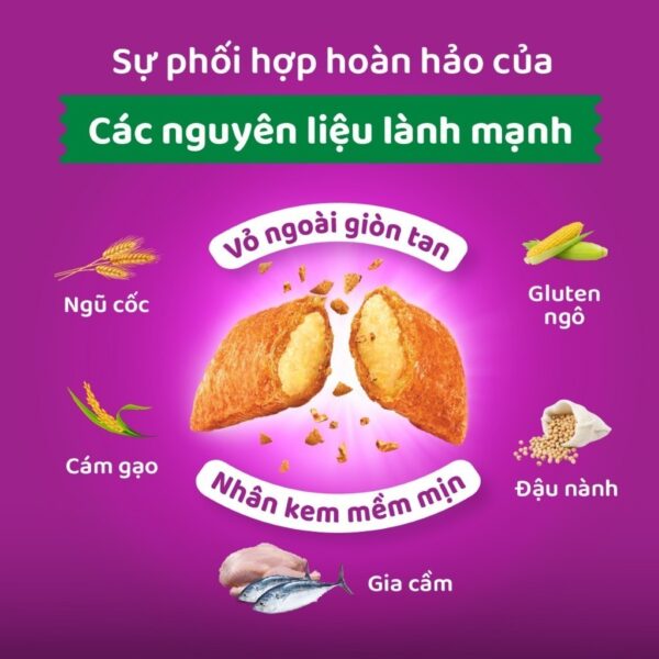 Thức ăn dạng hạt khô cho mèo lớn WHISKAS - 1.2 kg - Hình ảnh 3