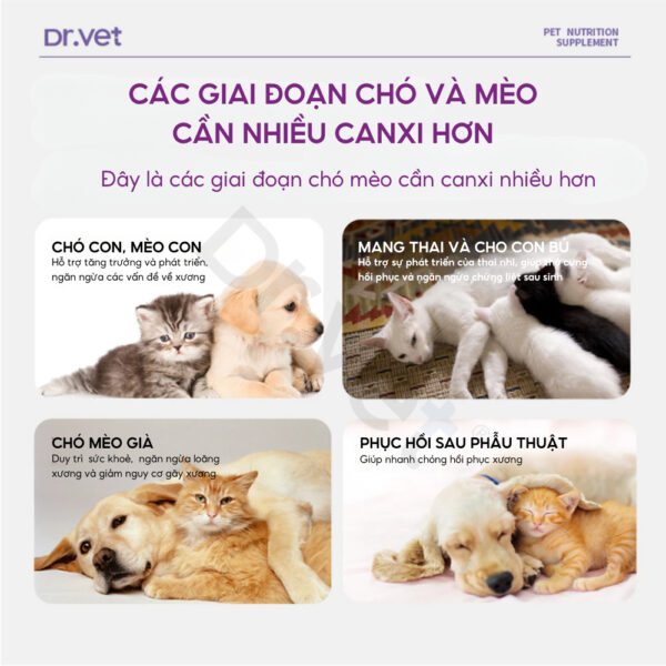 Viên Canxi cho chó mèo chắc răng khỏe xương DrVET - Hình ảnh 3